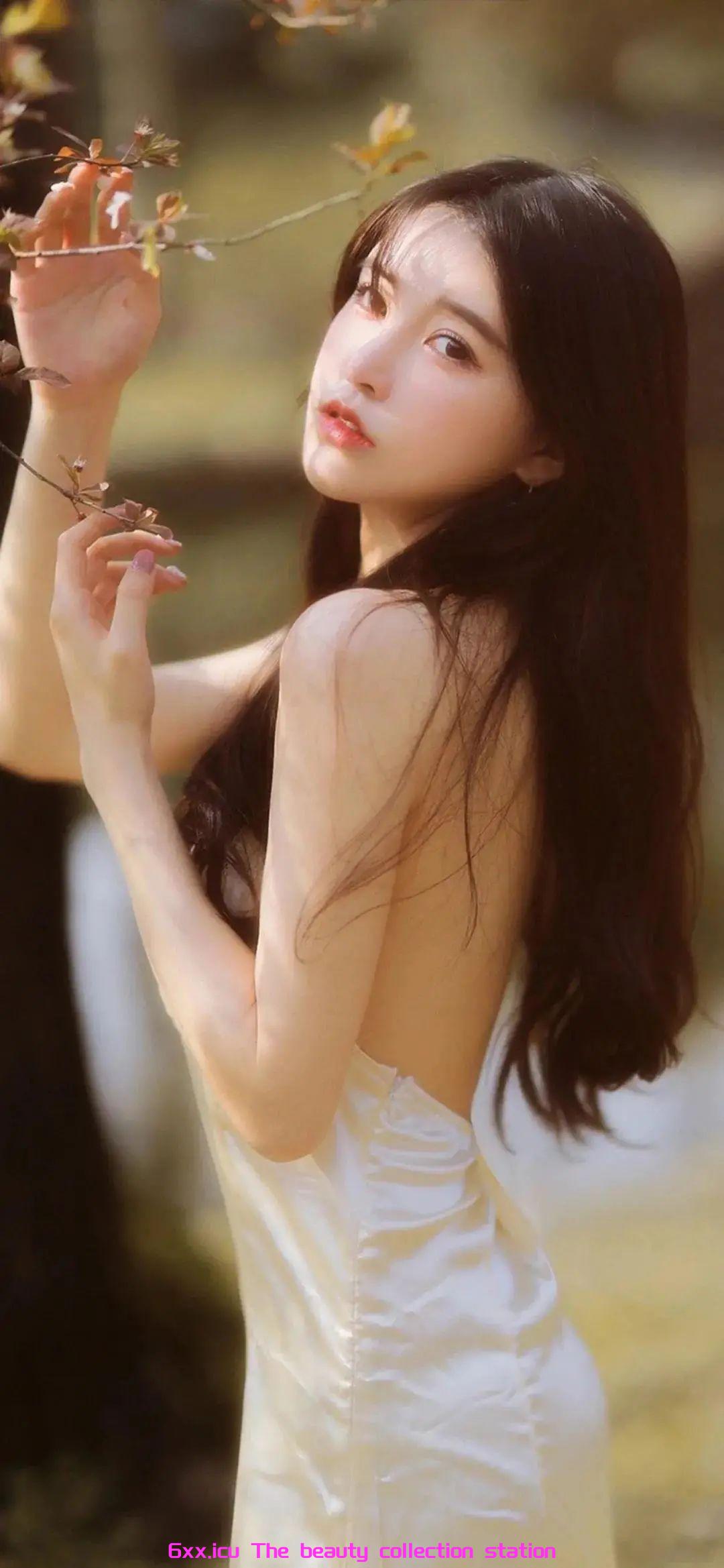 美女收集