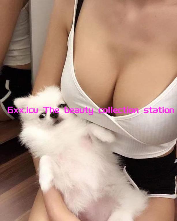 美女收集